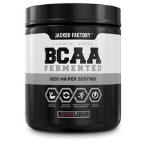 잭팩토리 BCAA 퍼먼티드 6000mg 프루트 펀치, 255g, 1개