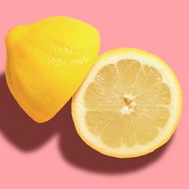 팬시 레몬 최상급, 120g 내외 40과 (약 4.8kg)