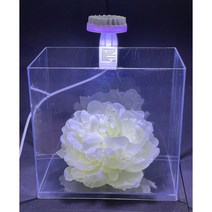 MKT 베타 키우기 세트 - 화이트