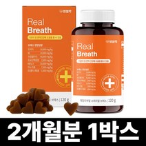 펫생각 데일리케얼 강아지 리얼 배도라지 기관지 영양제 120g (2개월분), 1박스