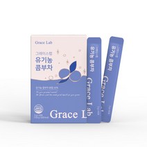 그레이스랩 유기농 콤부차 5g, 2박스(60포) - 5%추가할인