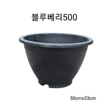 블루베리500 대형화분 플라스틱화분
