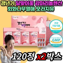 GLA 감마리놀렌산 보라지유 콜라겐 중년 여자 갱년기 60대 50대 어머니 여성 갱년기 회화나무 열매 달맞이꽃 달마지 종자유 월경전 에스트로겐 퀘르세틴 소포리코시드 대두 이소플라본