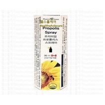 팜그린 프로폴리스 스프레이 30ml, 1개