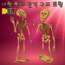 과학DIY 대형 인체 골격 구조 모형-ZHB과학교구.과학키트.실험실습