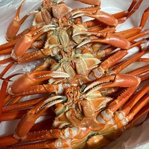 국내산 청정 바다 독도 홍게 6kg 자숙 붉은대게, 고급형 (수율 70~80%)