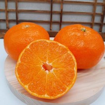 설선물 설날 제주도레드향 프리미엄과 3kg 선물용 레드향 황금향 한라봉 천혜향 제주과일 밀감 선물