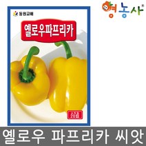 옐로우파프리카씨앗 20립 피망씨앗 오색단 고추씨앗, 옐로우파프리카
