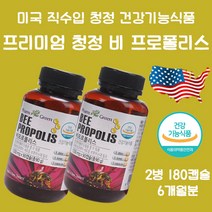 BEE PROPOLIS 비 프로폴리스 항산화 영양제 90정 미국 비타민E 함유 그린 로얄, 90정 2병