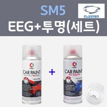 삼성 SM5 EEG 실버미스트 컬러스프레이 + 제투명마감용스프레이 자동차 카 페인트 200ml