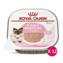친절한도그씨로얄캐닌 마더앤베이비 캣 캔 100g x12개 /울..