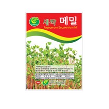 (CN) 새싹메밀 씨앗 (30g)