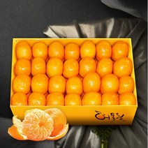브랜드없음 가락시장 직송 제주효돈감귤 5kg(60~79입내/S)