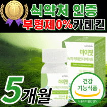 식 약 청 인증 카테킨 다이어트 그린 초록 녹차 추출물 egcg 체 내장 복부 지방 감소 도움 hdl ldl 콜레스테롤 중년 남성 여성 남자 여자 건강 식품 보조제 정품 [라풀굿], 300정(5개월)