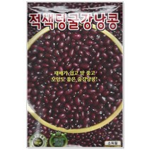 [토단] 적색 덩굴 강낭콩 씨앗 30g