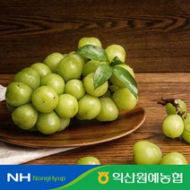 [익산원예농협] 고당도 샤인머스캣 2kg (3~4수)