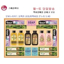 엘지생활건강스페셜48호.명절배송무료(1/27 오전까지 주문건), 4개이상