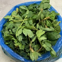 원동FS 국내산 방풍나물 1kg, 1개