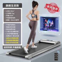 런닝머신 이동식런닝머신 전신운동기구 홈트운동기구 실내운동, APP디럭스실버-개인트레이닝피트니스+6륜구동