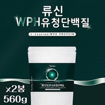 류신단백질 로이신 가루 아미노산 BCAA 운동 보충제 엠비피 프로테인 여성 남성 가성비 추천 어른분유 고단백우유 고단백식품 게이너 아침단백질 홈쇼핑 20대 30대 40대 50대 남자