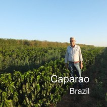 [위트러스트] 브라질 카파라오 500g Brazil 스페셜티 Caparao 커피, 에스프레소