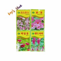 봄맞이 플랜테리어 야생화 씨앗 4종 꽃 씨앗 코스모스 분꽃 백일홍 맨드라미 케이스스탁, 1개