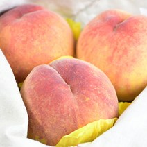 산지직송 [팜쿡] 의성 딱딱이 복숭아 4kg 대 13-15과, 단품없음