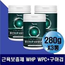 구아검 식물성 구아 콩 가수분해물 WPH WPC 프로틴 가루 분말 유청 농축 단백분말 BCAA 류신 로이신 근육 회복 근력 근지구력 멸치탈출 벌크업 운동선수 운동전후 마시는 단백질