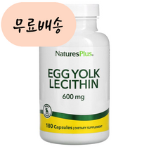(아이허브) 계란 노른자 레시틴 600m.g 배지 개 180 빠른직구, 1개