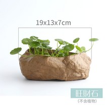 도자기 수반 토분 슬릿 베란다 가드닝 배란다 거실 다육이 도자기 대파 인테리어 키우기 플라스틱 텃밭, 수경무공【특대형 순도 19-13-6cm