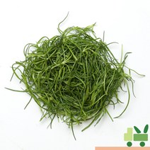사라상회 세발나물 (갯나물) 2Kg