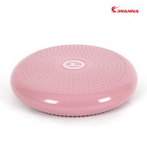 [IWANNA] 밸런스 지압쿠션 스트레칭 신체균형 코어운동