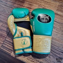 권투글러브 백 복싱 장갑 위닝 글러브 3 아바레즈NoBoxingNoLife, 02 10oz, 16 말모라텍스 믹스속싸개 골드 그린 매직 스티커