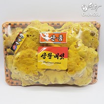 청수생약 국내산 상황버섯 1kg 선물세트 특산품