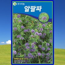 알팔파 잔디 씨앗 잔디 씨 종자 20g, 단품