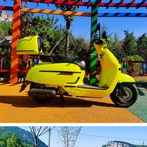 빅토리아 니키 125 300 탑박스 오토바이 트렁크 캐리어, I