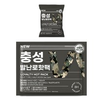 충성 NEW 발난로핫팩 20g x 2p, 30개