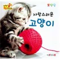 키움북스 세이펜 통통 자연동화 : 사랑스러운 고양이 도서