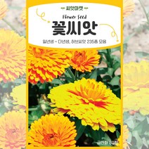 2023년 생산품 고급모음 꽃씨앗 일년생 다년생 야생화 사계절 꽃씨 종자, 169 실키포뮬라10립