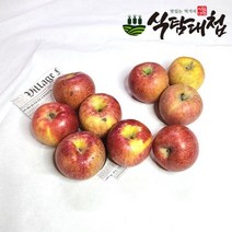 식탐대첩 심한 가정용 흠집 주스용 부사사과 10kg, 없음
