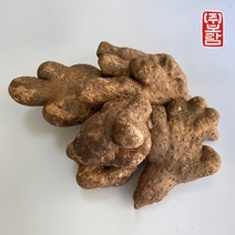 보람농장 산마 파지 5kg, 1개