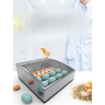 병아리 부화기 조류 스마트 인큐베이터 달걀 육추기, 로얄 블루 60개