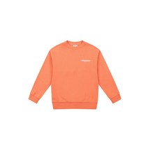 디스커버리 키즈 백면 빅로고 맨투맨 DKMT21111-CO, DKMT21111-CO_130