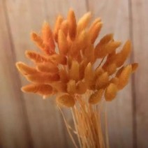 토끼 꼬리 말린 꽃 솜털 팜파스 잔디 소박한 웨딩 장식 홈 30 개, 01 orange_01 30pcs
