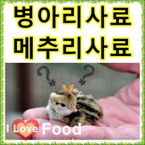 초이사료 병아리사료 1kg 소분판매전문 종합비타민 폐사방지 비타민 천연미네랄 무기질 다량함유 [명품사료], 13번 병아리 물통