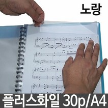 플러스 화일 30p A4 스프링 서류 문서 악보 보관 홀더 화일 음악, 단품