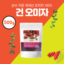 경북 건 오미자 건재 500g 국산 국내산 100% 열매 500그램 오미자차 생 의성 시잔드린 쉬잔드린 리그난 미네랄 칼슘 에이드 티 무첨가 건조 말린 효소 생과 관절 건강 티백