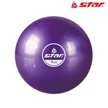 스타 소프트 웨이트볼 1kg (퍼플) (EU3600)헬스용품 덤벨 덤벨봉 홈트 홈트레이닝, 퍼플 1kg