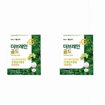 브레인 골드 약2개월분 포그 두뇌 에좋은 영양제 혈행 기능 개선제 기억력 포스파티딜세린