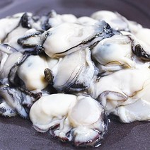 산지직송 배송 통영 횟감가능한 깐 생굴 월하굴 일반굴 보다 2배 큰 월하굴 1kg 2kg 3kg